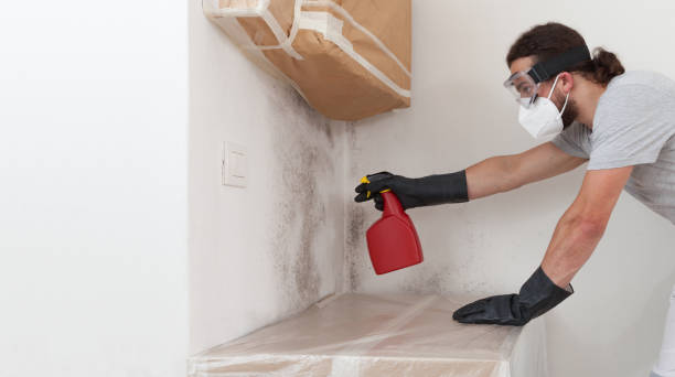 Professional Attic Mold Remediation technician working in Tyrone, GA